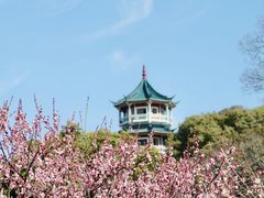 -无锡梅园公园