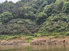 -新安江山水画廊风景区