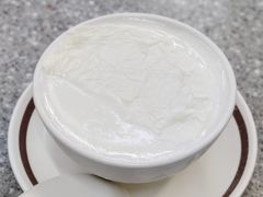 双皮奶-义顺牛奶公司(新马路老店)