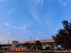 -宝安西湾红树林湿地公园