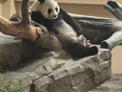 -宁波野生动物园