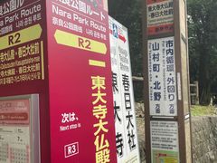 -奈良公园