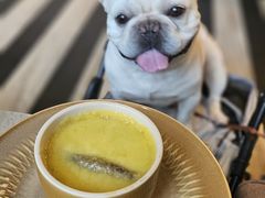-北京康莱德酒店
