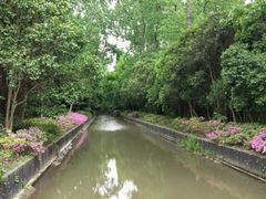 -上海滨江森林公园