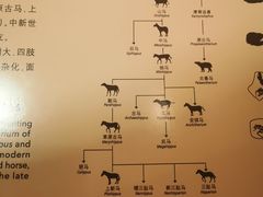 -自然博物馆新馆2楼餐厅
