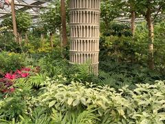 -南宫五洲植物乐园