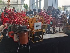 -奔驰上海利星(七宝店)
