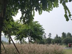 -眉山湿地公园(东坡区)