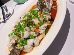 -西湖春天•老字号杭州菜(百汇店)