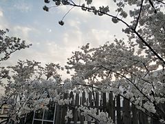 -华润万家(华夏店)