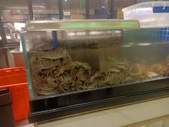 -锅儿欢海鲜火锅烤肉自助餐(东港凯虹店)