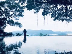 -大埔公路-马料水段香港中文大学(公交站)