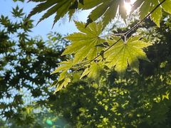 -本溪汤沟绿石谷森林公园
