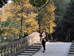 -温江公园