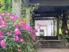-杭州植物园