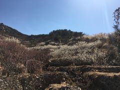 -崂山九水游览区