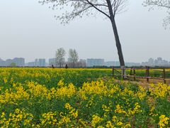 -汉长安城未央宫国家考古遗址公园