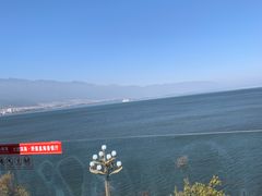 -野菌皇海景野生菌火锅(滨海大道店)