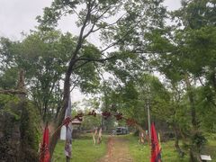 -青龙山国家森林公园