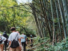 -会稽山峡洞漂流-上青古道