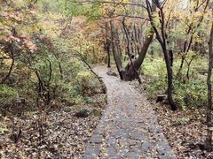 -驼梁风景区