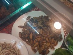 -石屏老字号4号包浆豆腐美食城(泼水广场店)