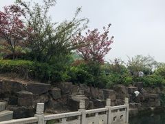 -无锡市乌鹤山公墓办事处