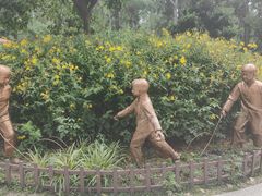 -合肥滨湖国家森林公园