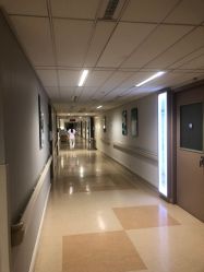 -杭州贝瑞斯美华妇儿医院·早孕·产检·儿科