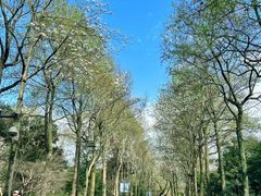 -楼外楼(玉泉店)