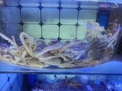 -日照大牌檔•小船海鲜(万平口店)