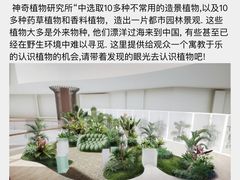 -武汉光谷K11