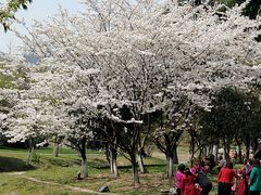 -堤角公园