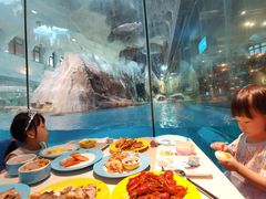 -帝企鹅自助餐厅•儿童岛•真企鹅(长隆企鹅酒店)