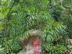 -中国科学院西双版纳热带植物园