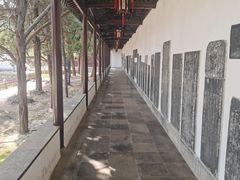 -苏州文庙(姑苏区)