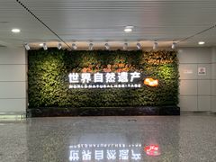 -张家界荷花国际机场