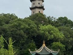 -江心屿景区
