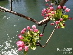 -海棠花溪(元大都城垣遗址公园)