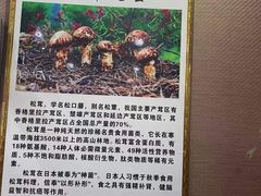 -菌之家·专业纯野生菌火锅·特色炒菌