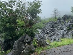 -千岛湖石林