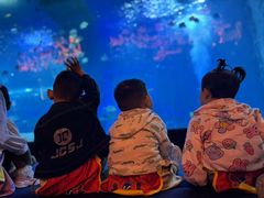 -全优加早教·托育(金沙御苑校区)