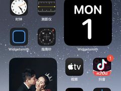 -Apple零售店(中街大悦城店)