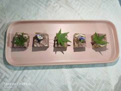 -西山人家·二十年老字号农家菜(旺山店)