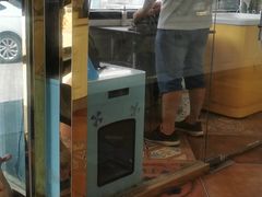 -糯米喵星人总部直营旗舰店·猫舍·幼猫出售