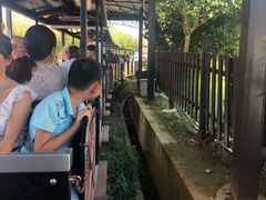 -武汉紫薇都市田园