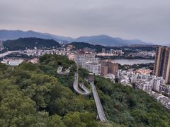 -福道