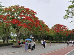 -顺峰山公园