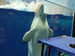 -福州罗源湾海洋世界旅游区