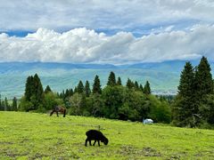 -新疆那拉提国家旅游度假区